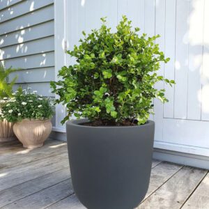 White GRC Planter enhancing luxury poolside design
