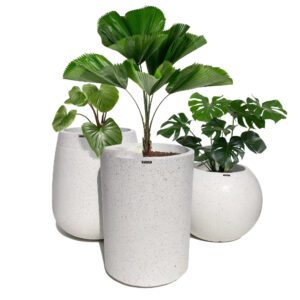 GRC Planter with floral carving used in courtyard decor